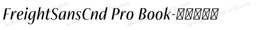 FreightSansCnd Pro Book字体转换